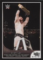 2016 Topps WWE Road to Wrestlemania - Sheamus #44