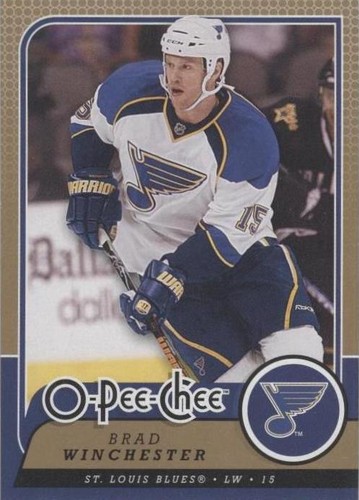 2008-09 O-Pee-Chee - Brad Winchester #680