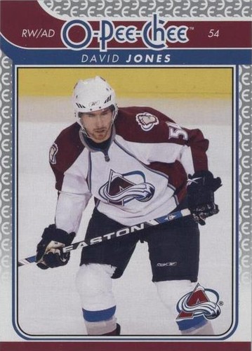 2009-10 O-Pee-Chee - David Jones #24