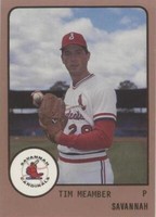 1988 ProCards Minor League - Tim Meamber #344