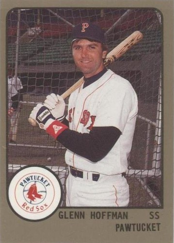 1988 ProCards Minor League - Glenn Hoffman #465