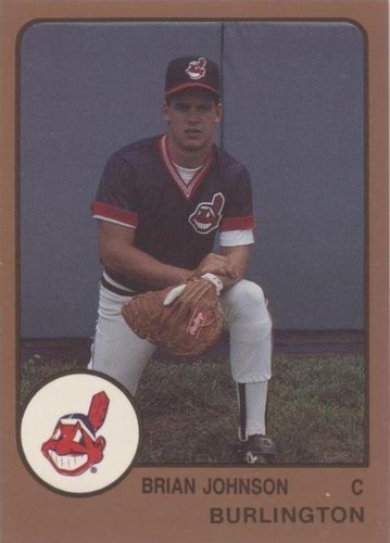 1988 ProCards Minor League - Brian Johnson #1798