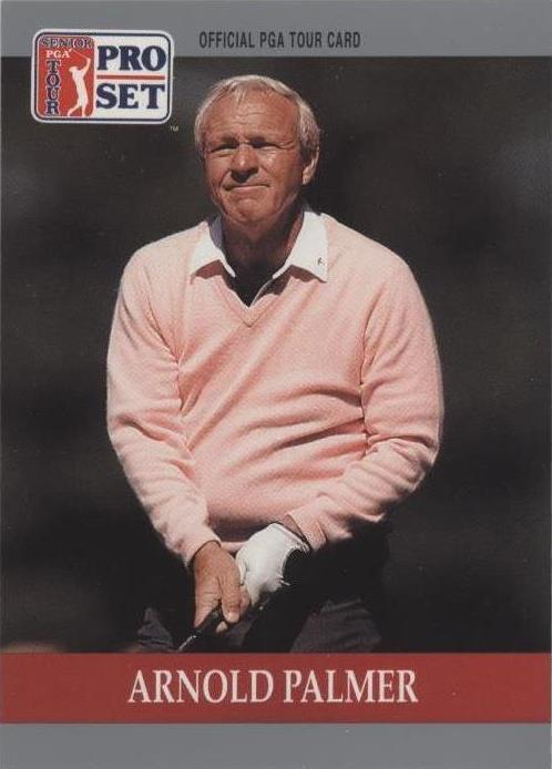 Juego PGA Tour Pro 1990 - Arnold Palmer #80