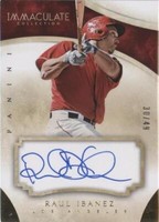 2014 Panini Immaculate Collection - Raul Ibanez #85