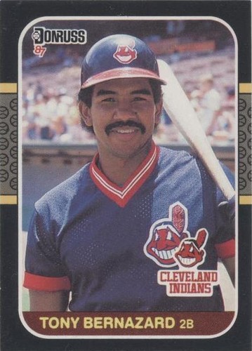 1987 Donruss - Tony Bernazard #377