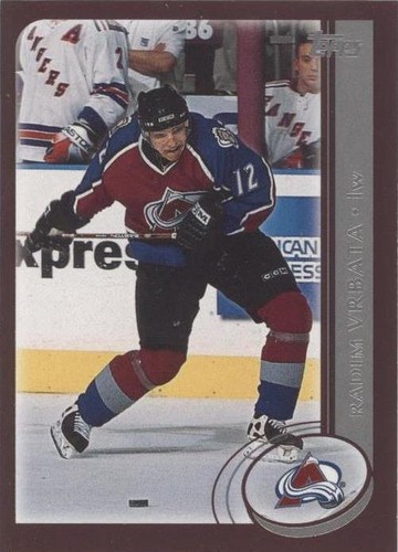 2002-03 Topps - Radim Vrbata #83