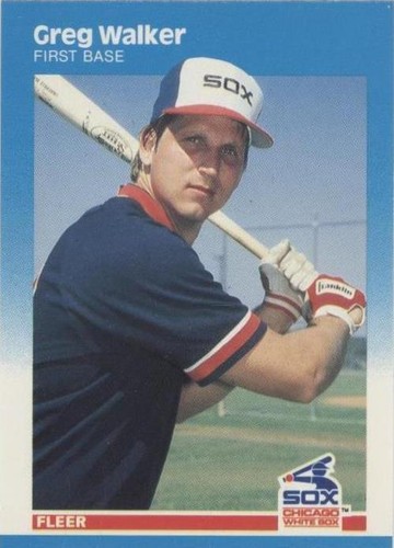 1987 Fleer - Greg Walker #508