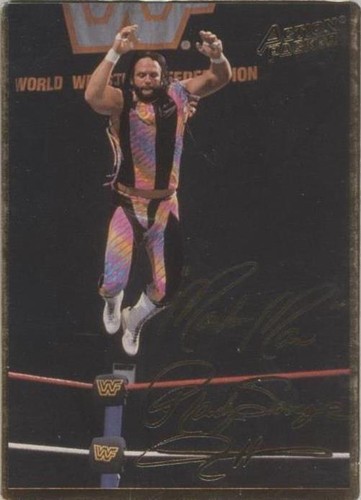 1994 Action Packed WWF - Randy Savage #13