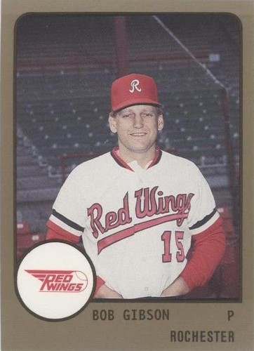 1988 ProCards Minor League - Bob Gibson #196