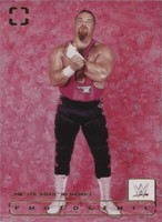 2024 Panini Photogenic WWE - Jim Neidhart #196