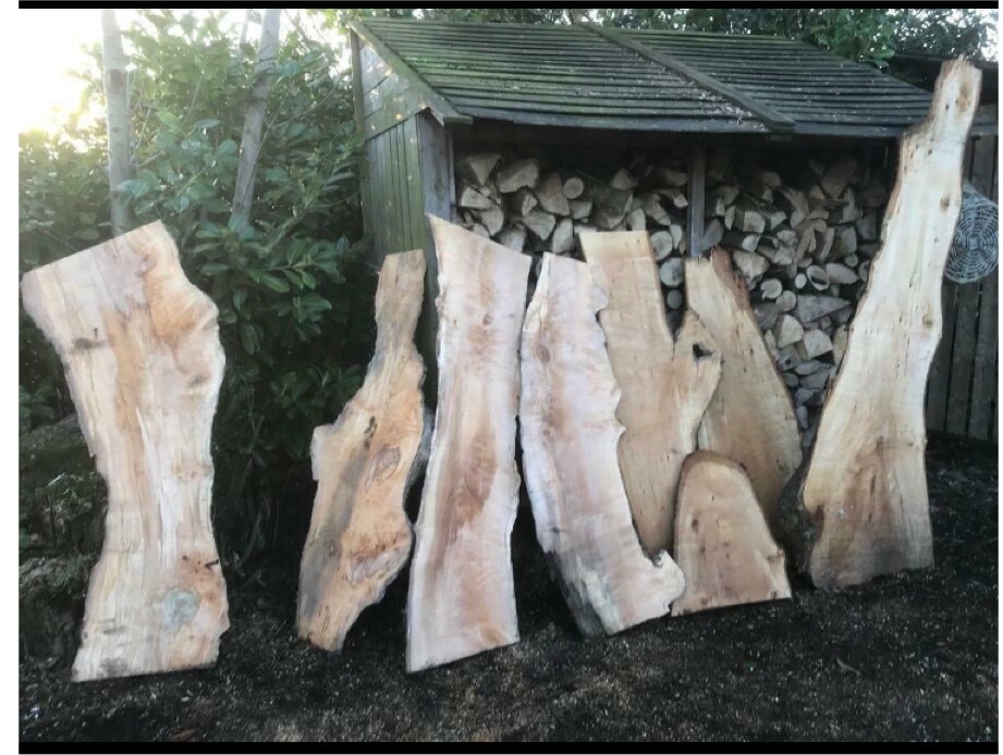 Sawmill offcuts Lime Elm hardwood boards slabs wood live edge river
