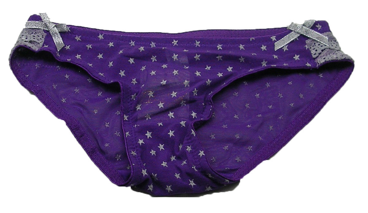 Women's Nylon Briefs