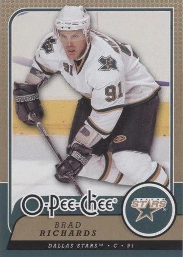 2008-09 O-Pee-Chee - Brad Richards #411