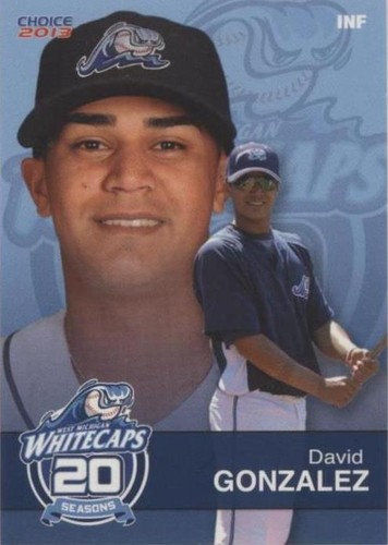 2013 Choice West Michigan Whitecaps - David Gonzalez #07