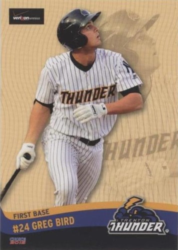2015 Choice Trenton Thunder - Greg Bird #23