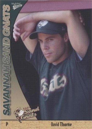 2004 MultiAd Sports Savannah Sand Gnats Baseball Trading Cards