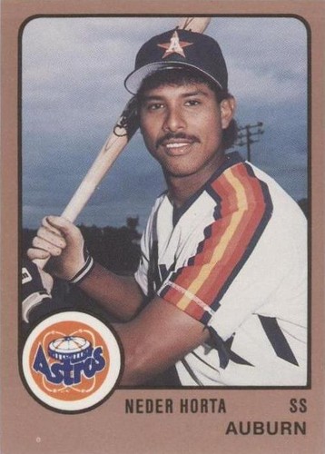 1988 ProCards Minor League - Neder Horta #1965