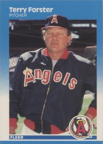 1987 Fleer - Terry Forster #80