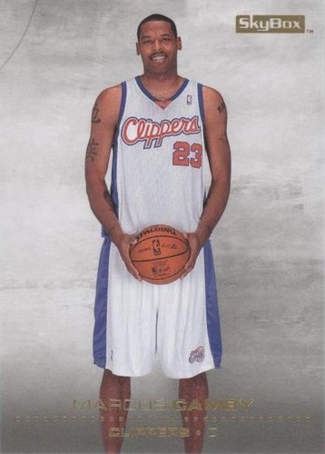 2008-09 Skybox - Marcus Camby #80