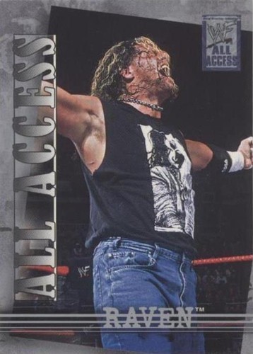 2002 Fleer WWF All Access - Raven #45