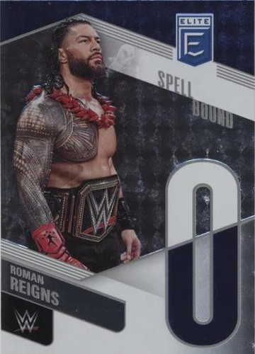 国内発送■CACTUS JACK■×WWE OTC TEE (ROMAN REIGNS) WWE x Cactus Jack OTC ROMAN REIGNS 2-Sided T-Shirt Shirt XL