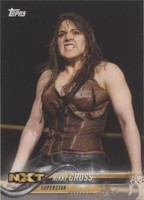 2018 Topps WWE Then Now Forever - Nikki Cross #155