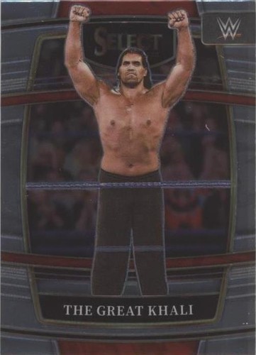 2022 Panini Select WWE - The Great Khali #29