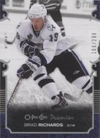 2007-08 O-Pee-Chee Premier - Brad Richards #67