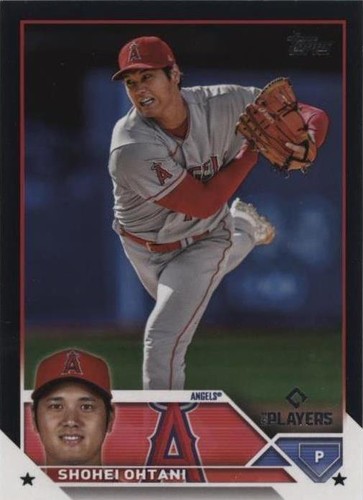 コレクション Shohei OHTANI HOMERUN KING 2023 大谷翔平 2023 ホームランキング プレミアム グッズセット