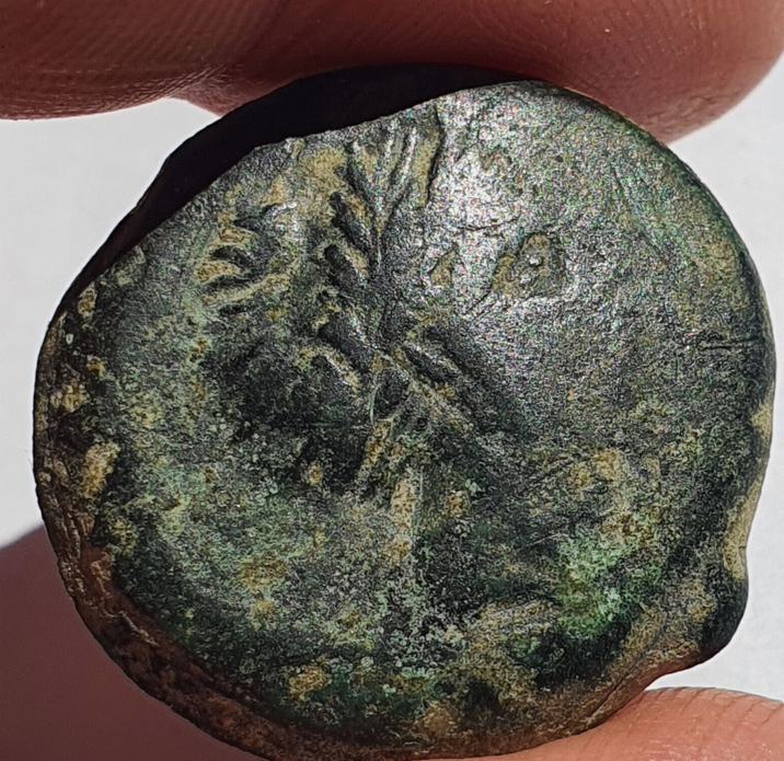 KNY★鑑定済みコイン★ Ancient greek bronze coin Mysia, Kyzikos, Bronze 3rd century