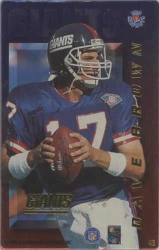 1996 Pro Magnets Dave Brown #42