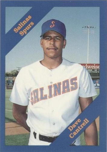 1989 Cal League California League - David Cantrell #129