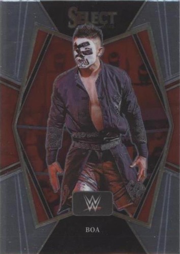 2022 Panini Select WWE - Boa #119