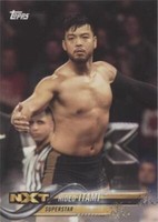 2018 Topps WWE - Hideo Itami #37