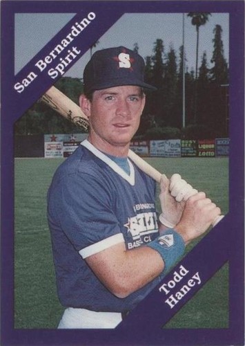 1989 Cal League California League - Todd Haney #81