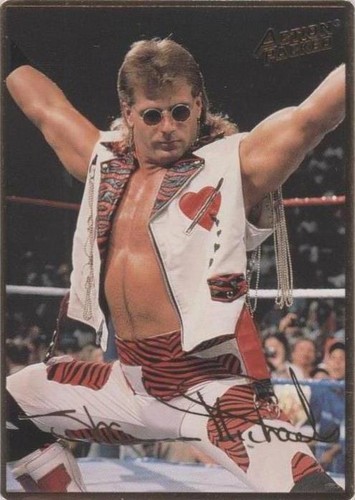 1994 Action Packed WWF - Shawn Michaels #7