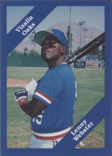 1989 Cal League California League - Lenny Webster #110