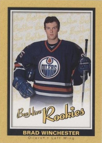 2005-06 Upper Deck Bee Hive - Brad Winchester #177