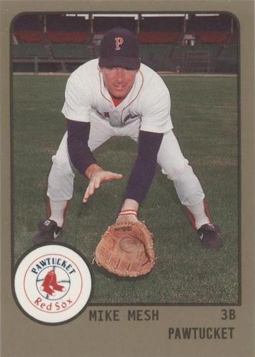 1988 ProCards Minor League - Mike Mesh #463