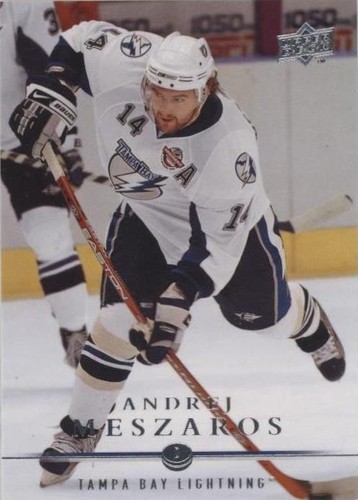 2008-09 Upper Deck - Andrej Meszaros #425