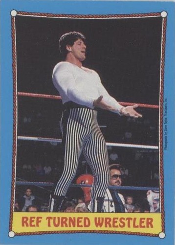 1987 O-Pee-Chee WWF - Danny Davis #23