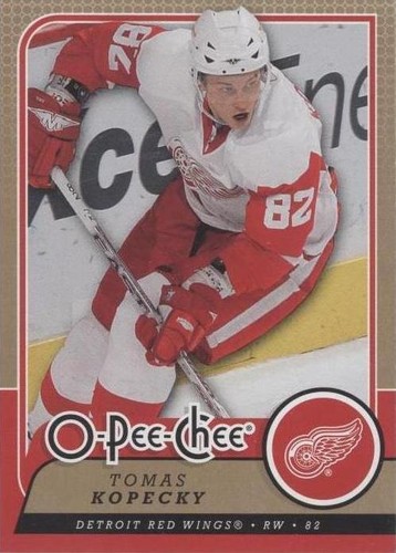 2008-09 O-Pee-Chee - Tomas Kopecky #162