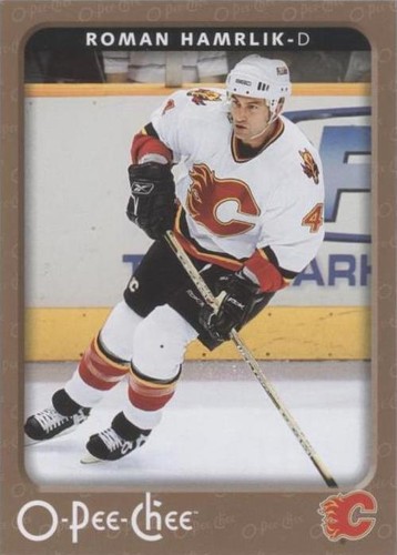 2006-07 O-Pee-Chee - Roman Hamrlik #73