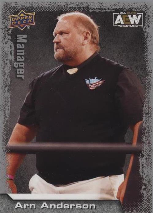 2022 Upper Deck AEW All Elite Wrestling - Arn Anderson #95