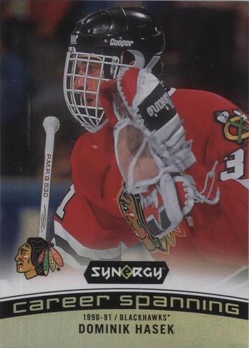 2017-18 Upper Deck Synergy - Dominik Hasek #CS-8