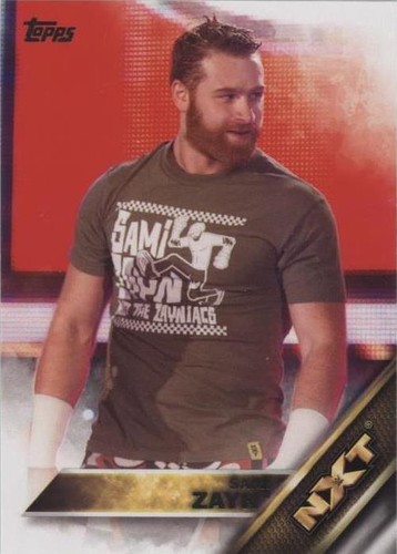 The Rock 2016 Topps WWE #16 WRESTLING Card | eBay