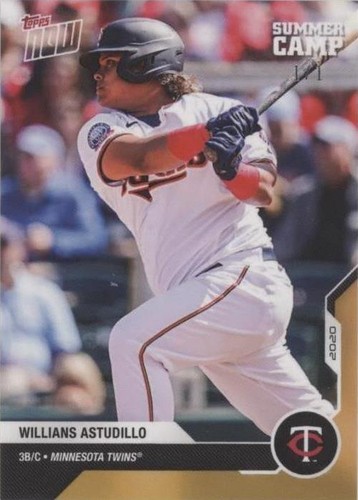 Willians Astudillo Trading Cards