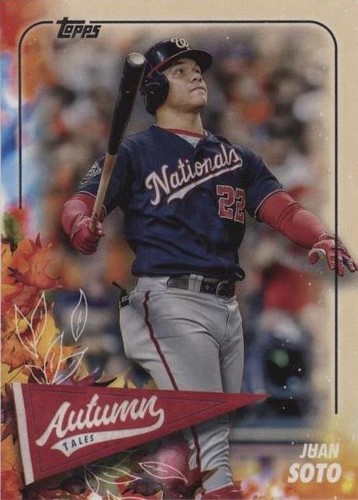 PSA10 フアン ソト ルーキー‼️JUAN SOTO RC - YANKEES Juan Soto Superfractor 1/1 PSA 10 New York Club Chrome
