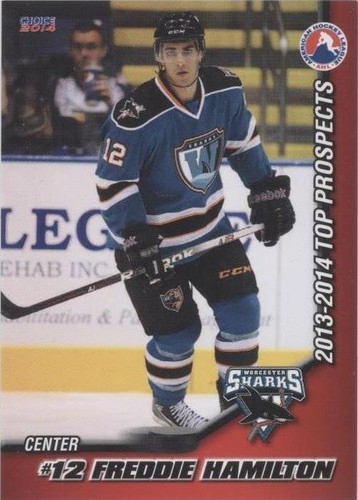 2013-14 Choice AHL Top Prospects - Freddie Hamilton #50