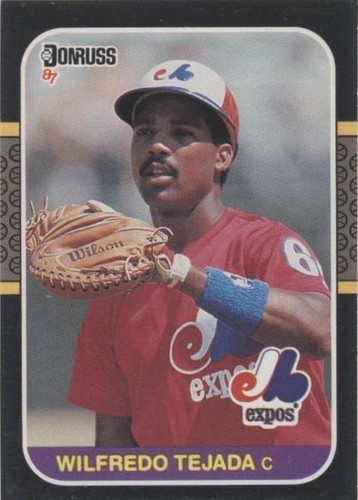 1987 Donruss - Wilfredo Tejada #529
